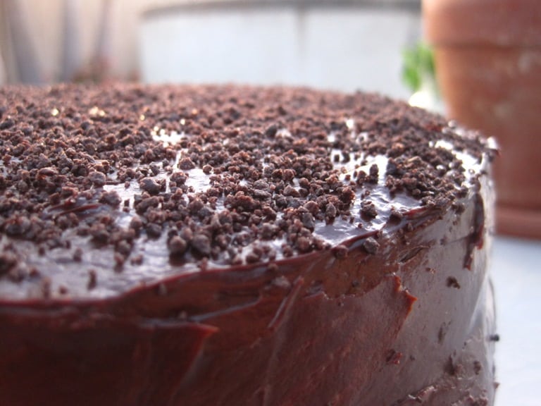 dark chocolate cake with chocolate almond toasted marshmallow filling