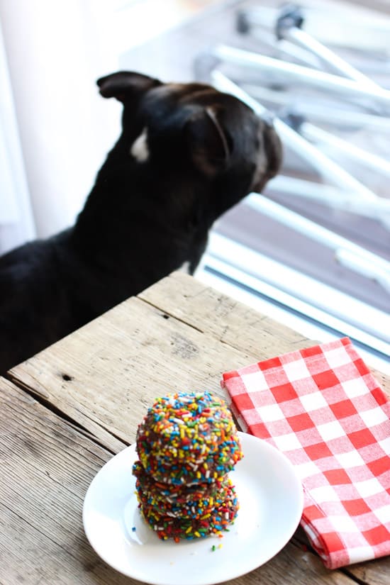 A blurry dog in the background behind a table with a stack of cookies on it.