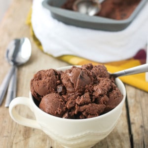 Dairy-Free Chocolate Mint Chip Ice Cream | mysequinedlife.com