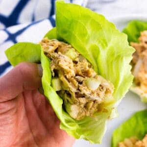 A hand holding a chicken salad lettuce wrap.