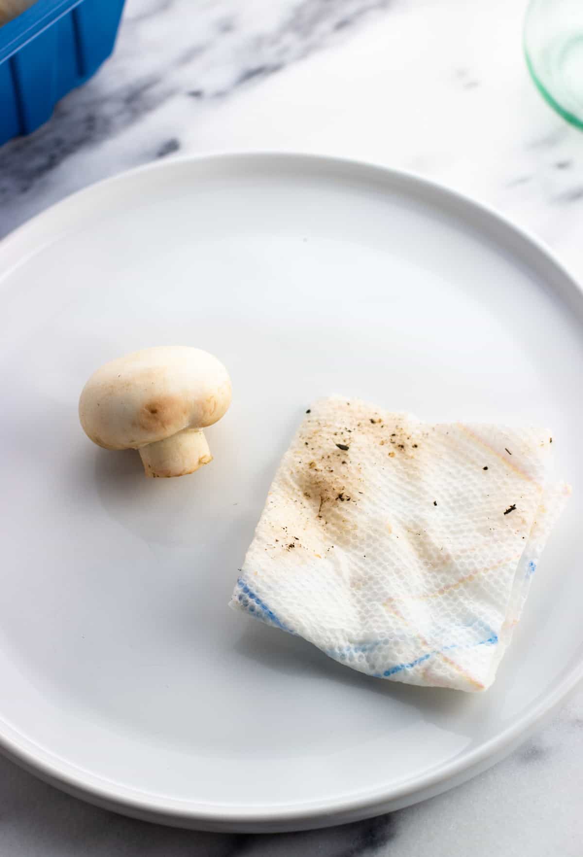 A button mushroom on a plate with a dirty paper towel next to it.