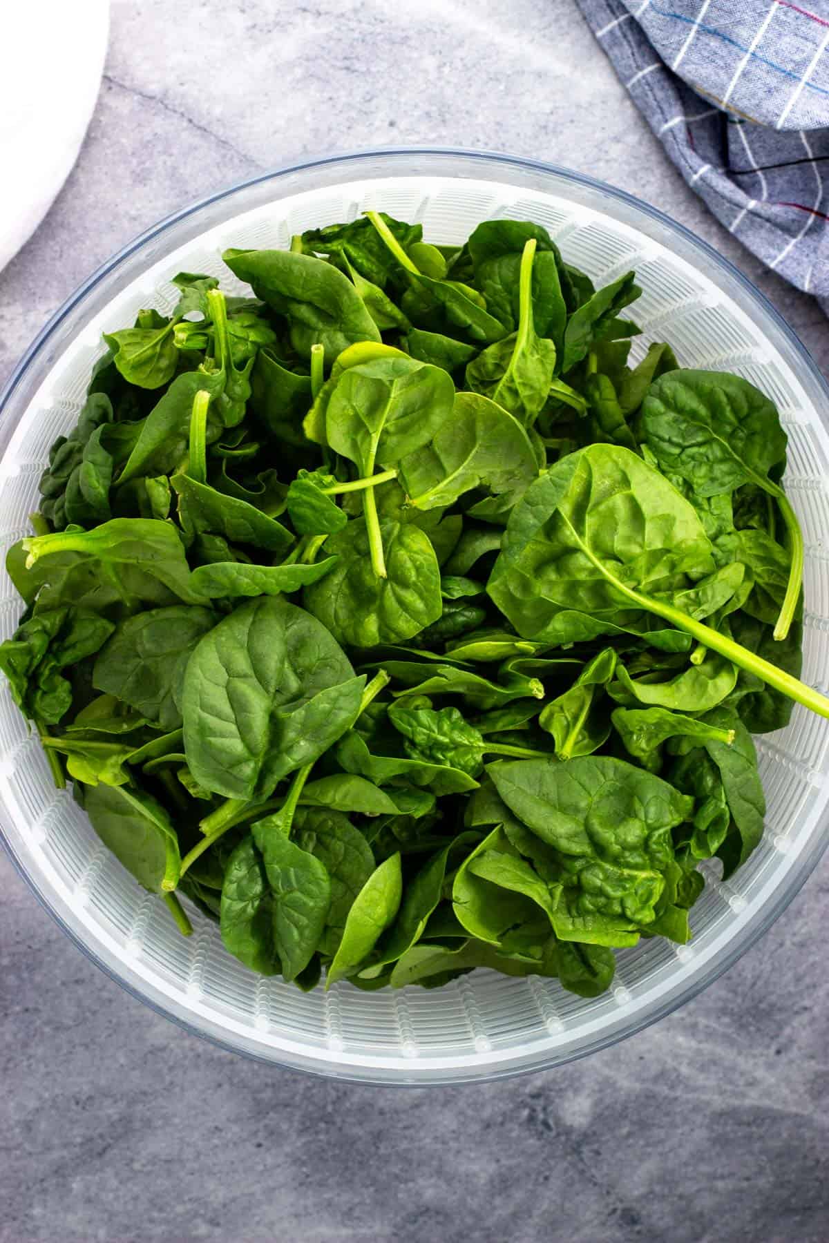 A salad spinner full of fresh spinach leaves.