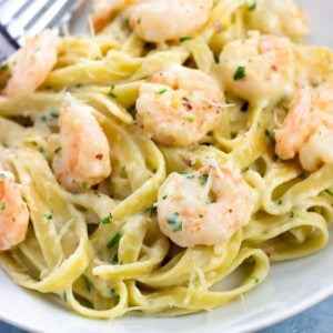 A plate of healthy shrimp alfredo with a fork.