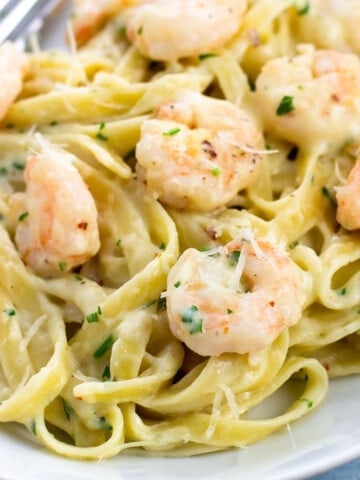 A plate of healthy shrimp alfredo with a fork.