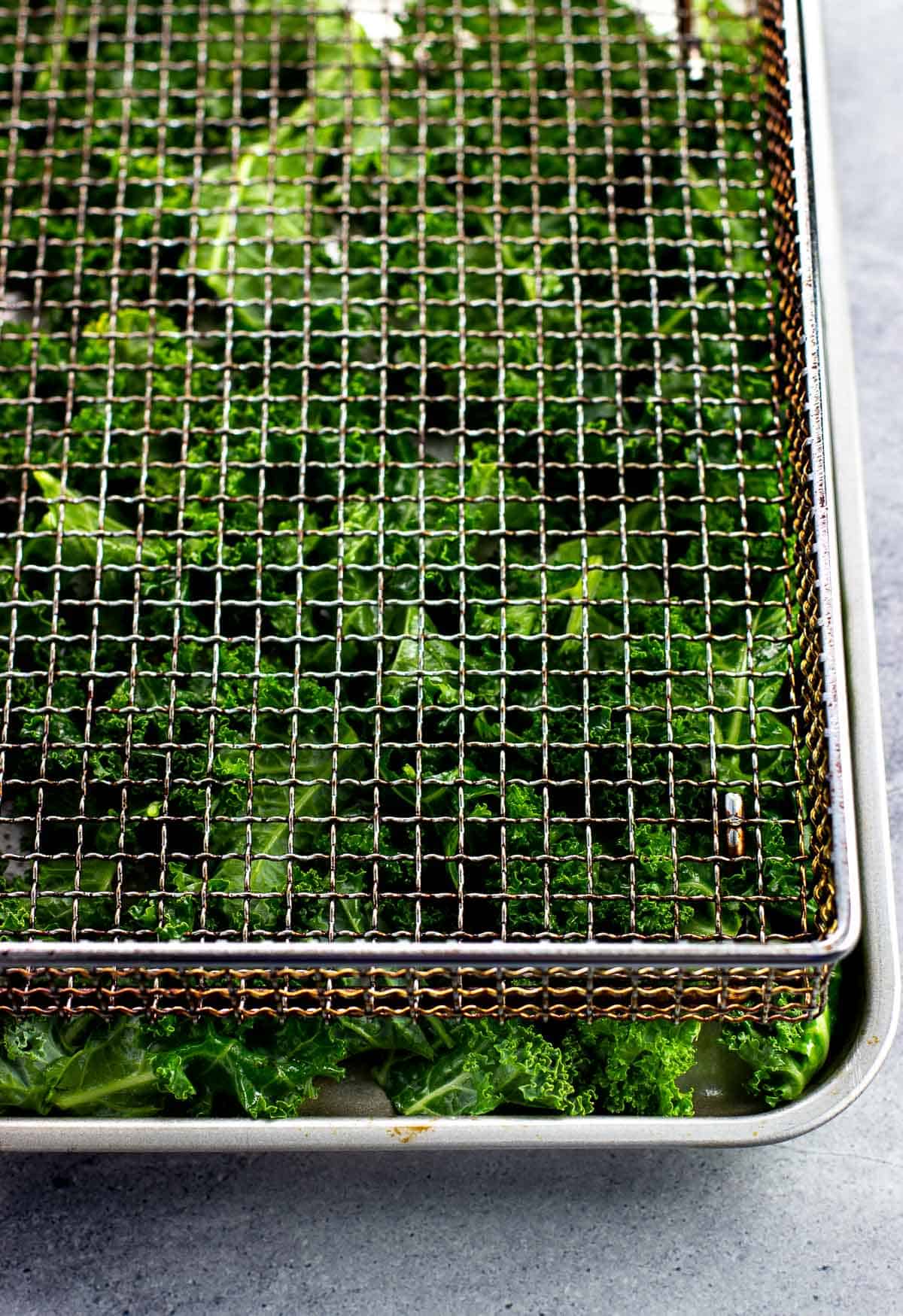A metal rack situated on top of oiled kale leaves.