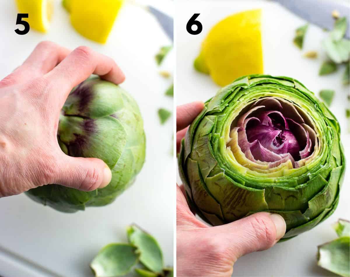 Two steps of opening up the artichoke leaves to stuff them.
