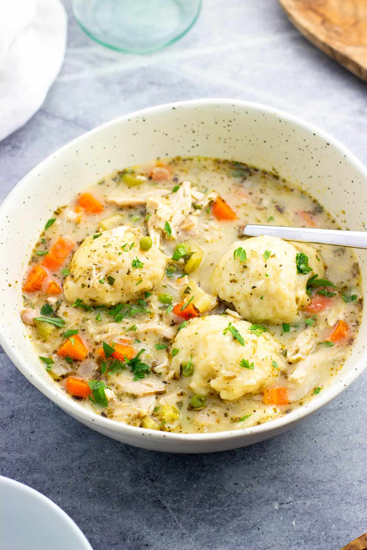 A shallow bowl of chicken and Bisquick dumplings.