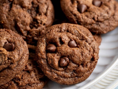 CHOCOCHIP COOKIE 20 ブラウン CHOCOCHIP COOKIE 20 ブラウン CHOCOCHIP COOKIE 20 ブラウン