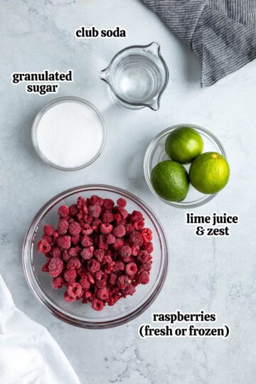 Raspberry Lime Rickey - My Sequined Life
