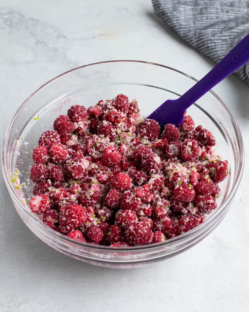 Raspberry Lime Rickey - My Sequined Life