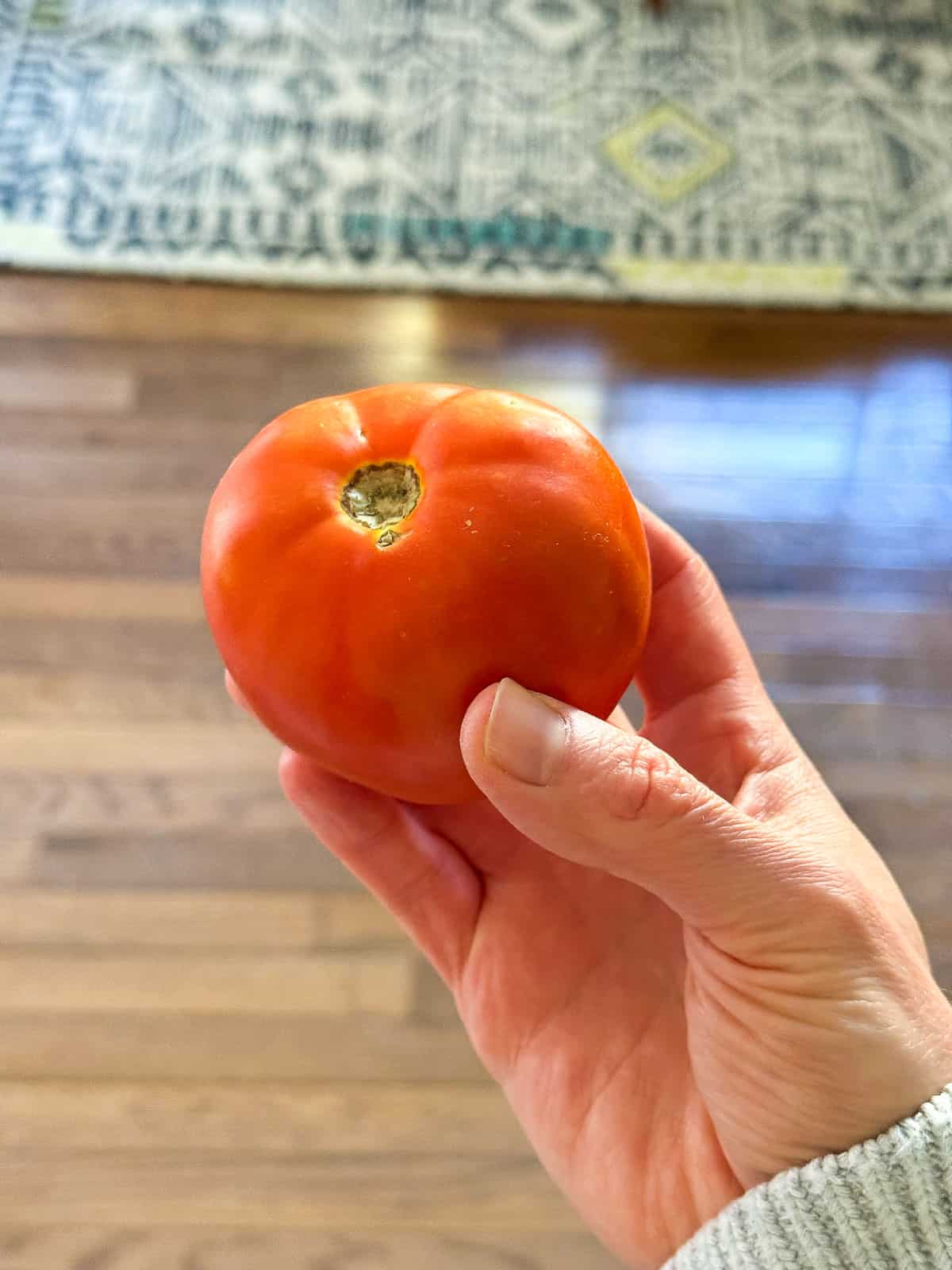A hand holding a red tomato.