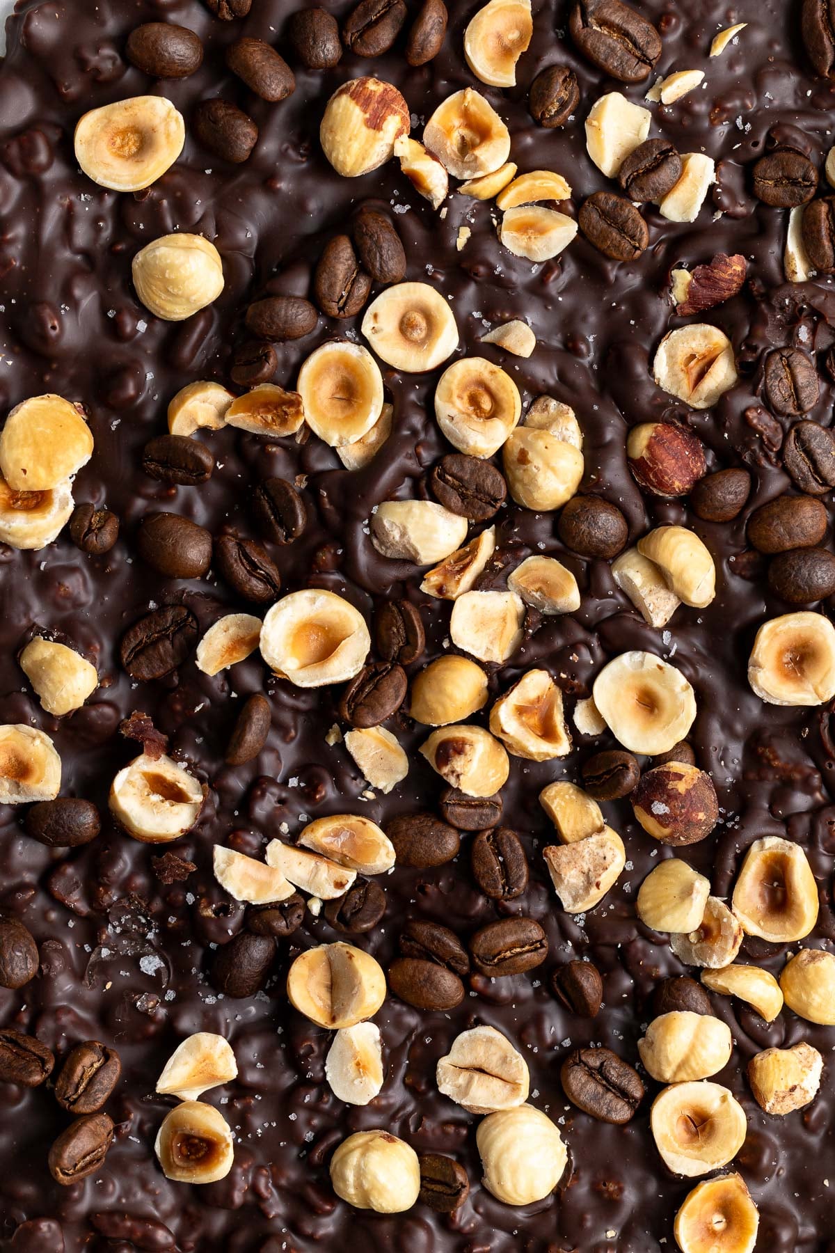 A close-up of chocolate espresso bean bark with hazelnuts and flaky salt.